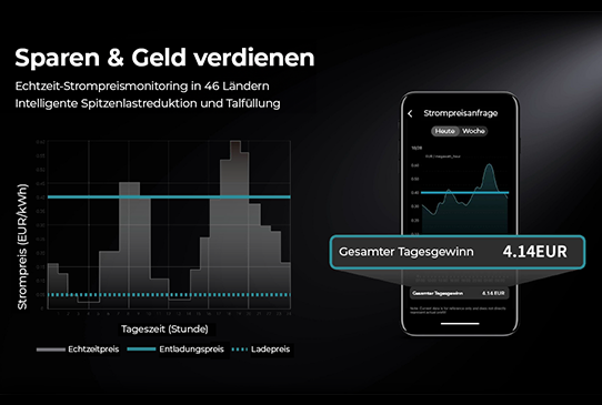 380 Watt Balkonkraftwerk Photovoltaik Solaranlage Steckerfertig WIFI Smart